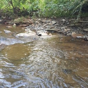 Meet your Posher, Beverly